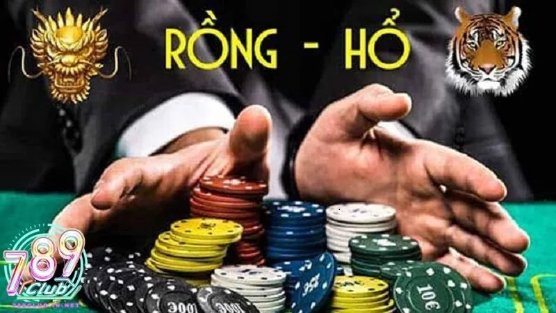 Mẹo đặt cược thông minh khi chơi rồng hổ